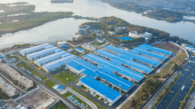 �н����ſƼ������������ٻ�ڶ�������������